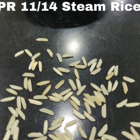 PR 11/14 Steam Rice