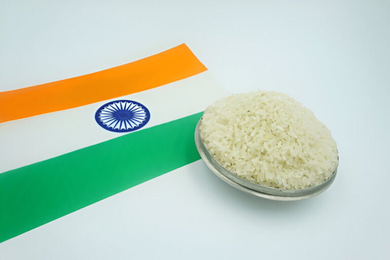 Indian rice sacks loaded for export at a shipping port.