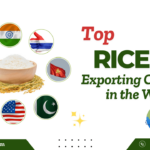 Global rice export trade map highlighting top exporting countries in 2025