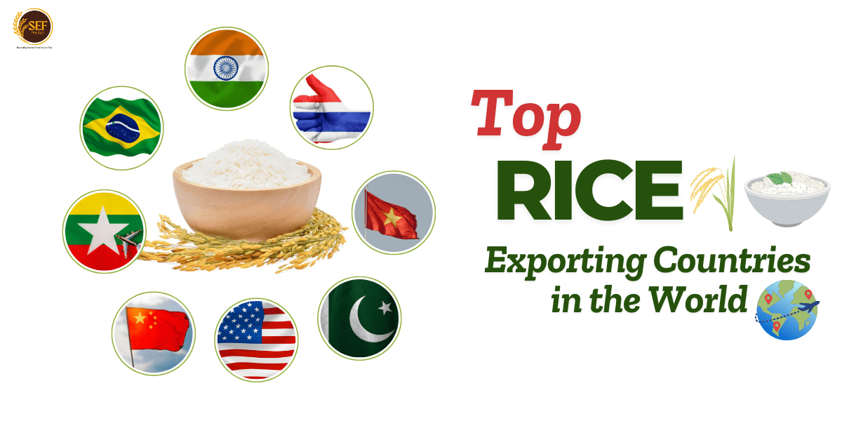 A world map highlighting the top rice-exporting countries in 2025.