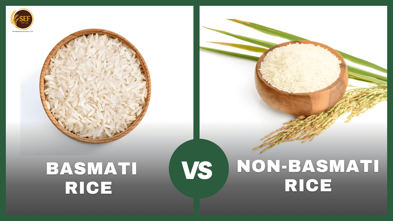 A side-by-side comparison of Basmati and Non-Basmati rice varieties, showcasing their differences in grain size and texture.