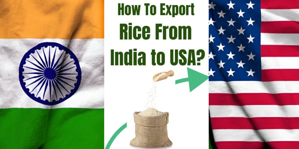 Export rice from India to USA – shipping cost & price per kg.