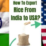 Export rice from India to USA – shipping cost & price per kg.