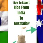 Export rice from India to Australia – process, documents, and shipping cost.