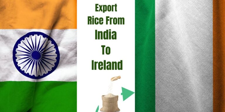Export rice from India to Ireland – process, documents, and shipping cost.