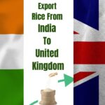 Export rice from India to United Kingdom – process, documents, shipping info.