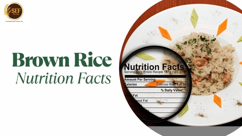 100g brown rice nutrition calories, carbs, protein, fiber.