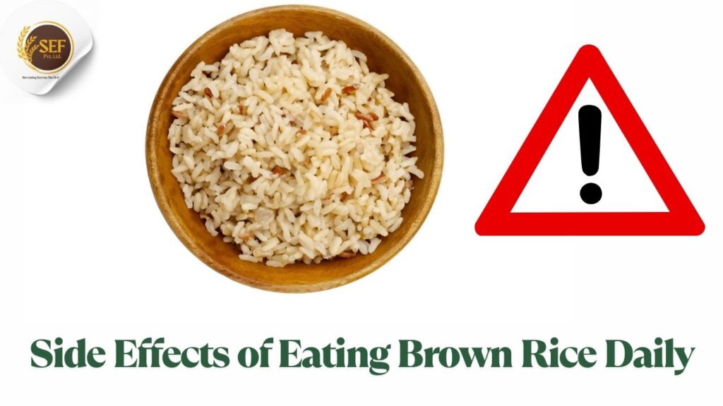 Side effects of eating brown rice daily digestion, nutrient absorption