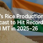 India rice export forecast 2025–26 with Indian flag and graph highlighting 151 MT rice production target.