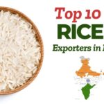 Infographic showing top 10 rice exporters in India 2025 with rice sacks, cargo trucks, ships, and global trade routes.