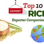 Top rice exporter companies in the world with global market reach and specialties.