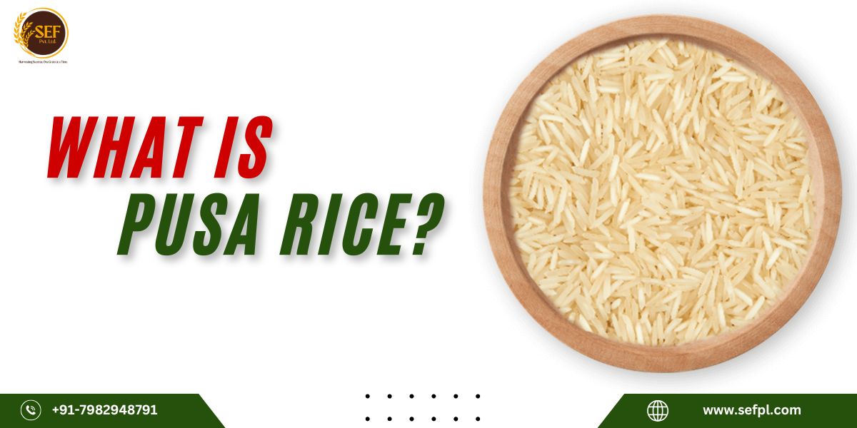 Pusa Basmati Rice grains with bowl and export packaging premium Indian long-grain rice variety.