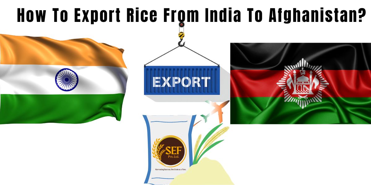 Indian rice export process for Afghanistan explained with packaging and shipping visuals.