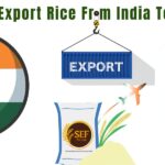Export Rice from India to Qatar 2025 Step-by-Step Guide