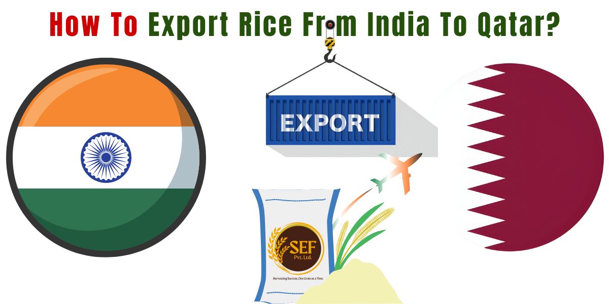 Export Rice from India to Qatar 2025 Step-by-Step Guide