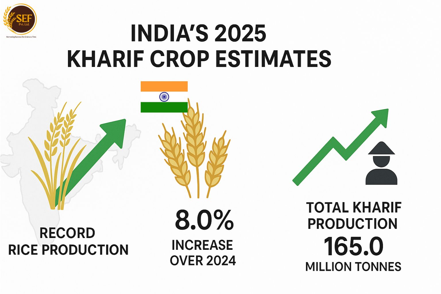 India’s Kharif 2025 Rice Output Set to Hit 124 MT, Boosting Food ...