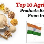 Top 10 agricultural products exported from India with rice, grains, nuts, and India flag beside export containers.