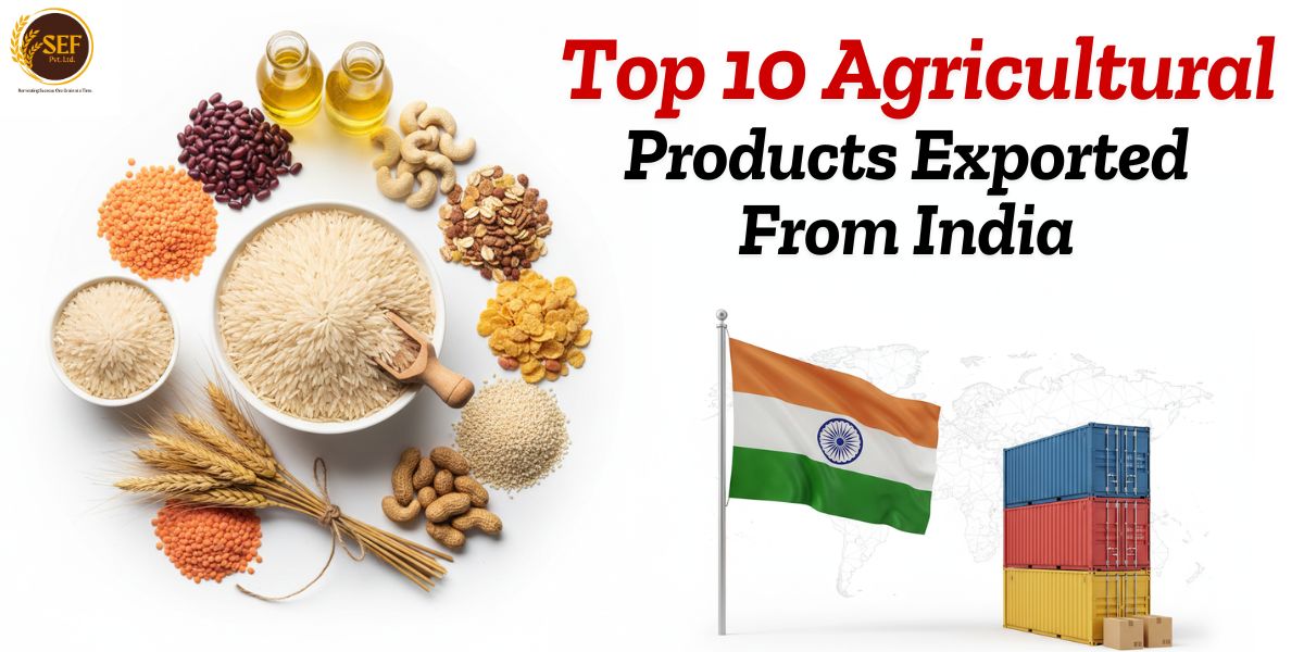 Top 10 agricultural products exported from India with rice, grains, nuts, and India flag beside export containers.