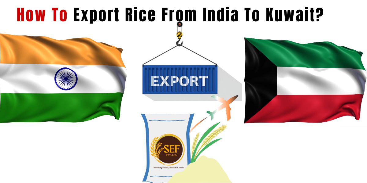 India and Kuwait flags with export container representing rice export from India to Kuwait.