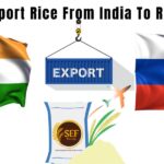 Indian and Russian flags with export container showing rice trade from India to Russia.