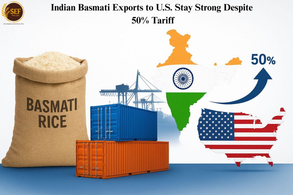 Indian Basmati rice exports to the U.S. remain strong despite 50% tariff hike — trade infographic showing export containers and global market visuals.