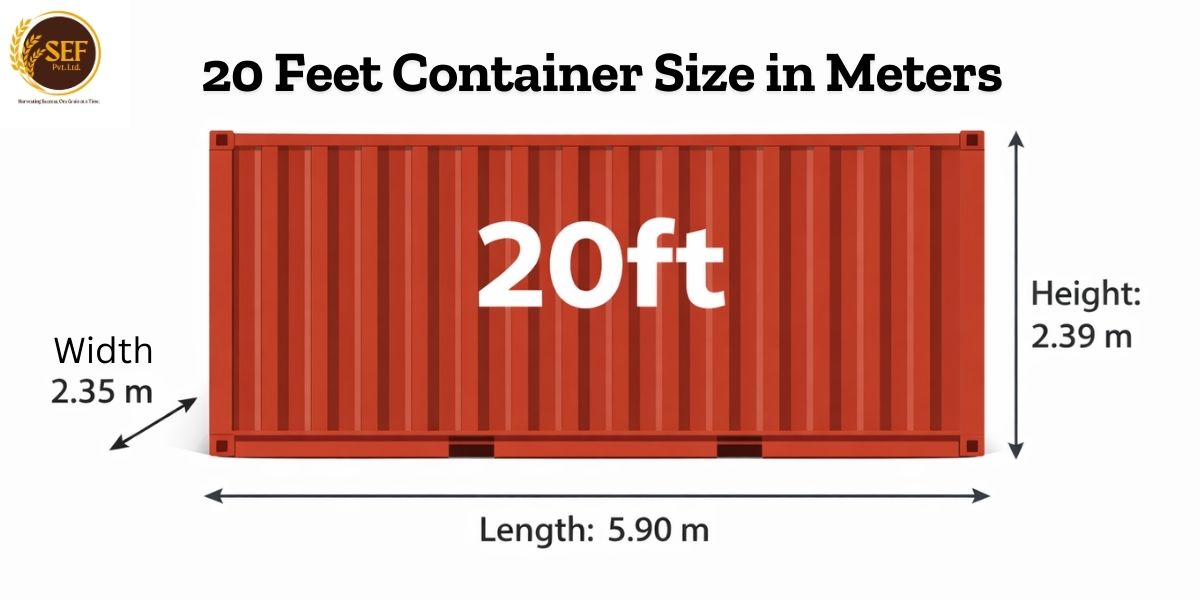 20 feet shipping container dimensions in meters showing length width and height