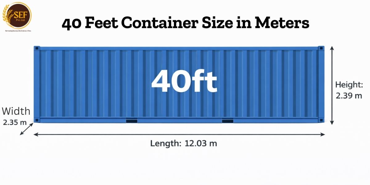 40 feet shipping container dimensions in meters for export cargo