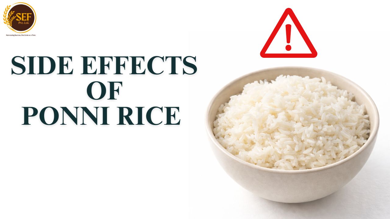Side Effects of Ponni rice including blood sugar impact and portion control considerations