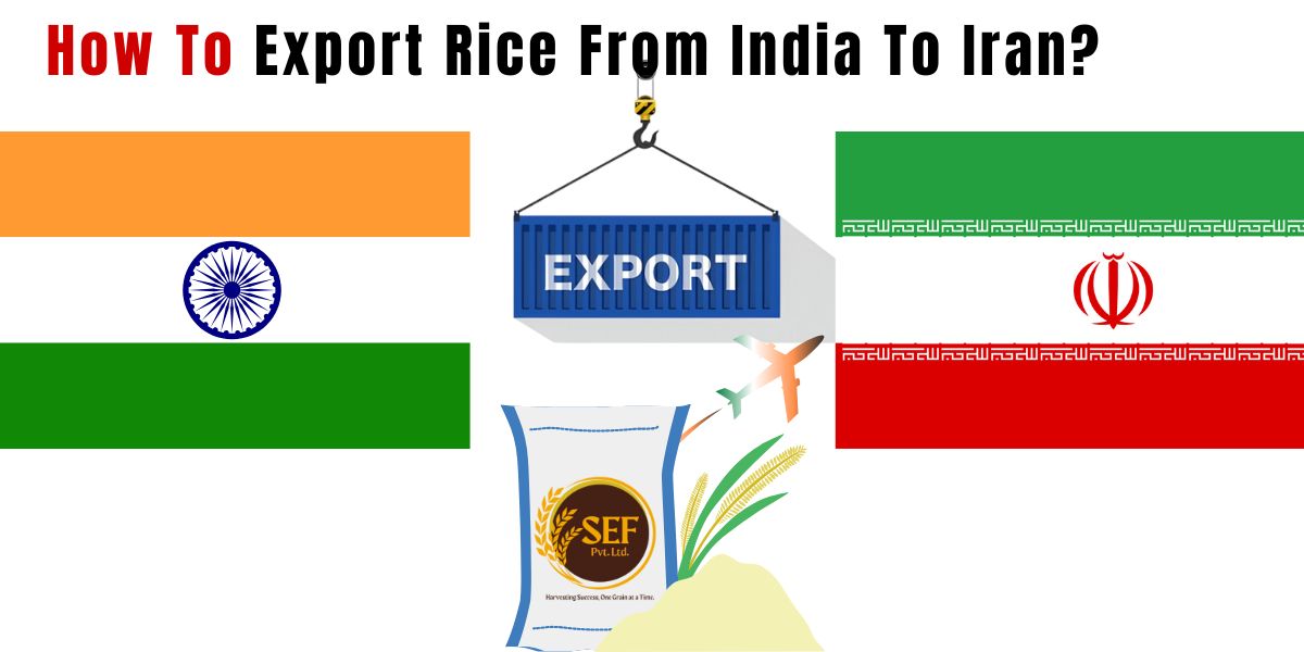 How to export rice from India to Iran, basmati rice export process explained.