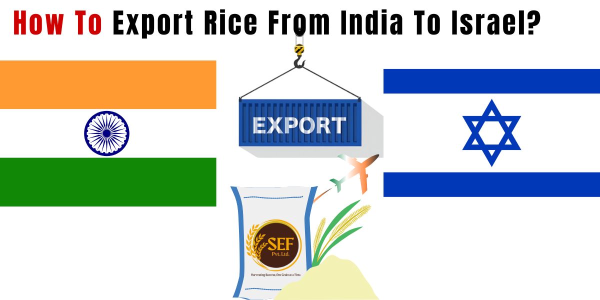 Export quality export Basmati Rice from India for Israel market