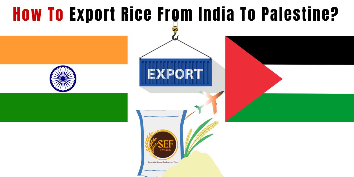 How to export rice from India to Palestine, Indian rice export guide.