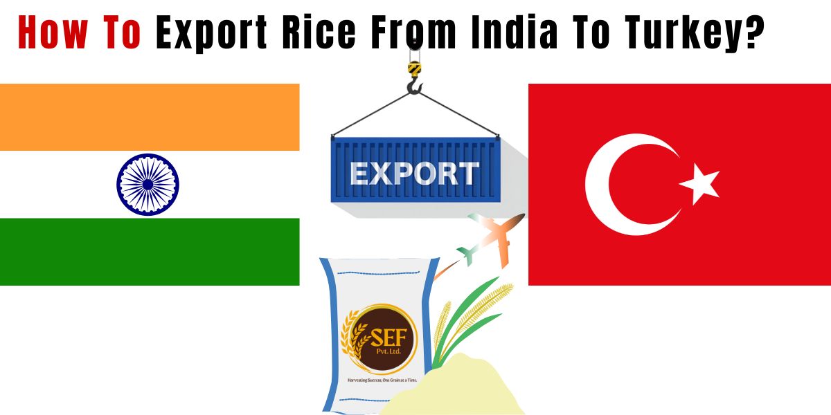 Indian Basmati rice varieties prepared for export from India to Turkey