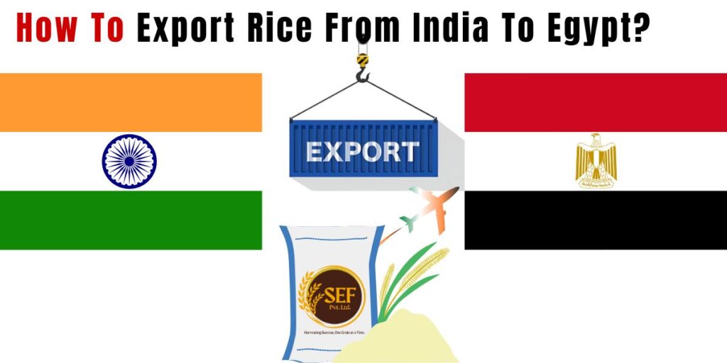 How to export rice from India to Egypt for international markets