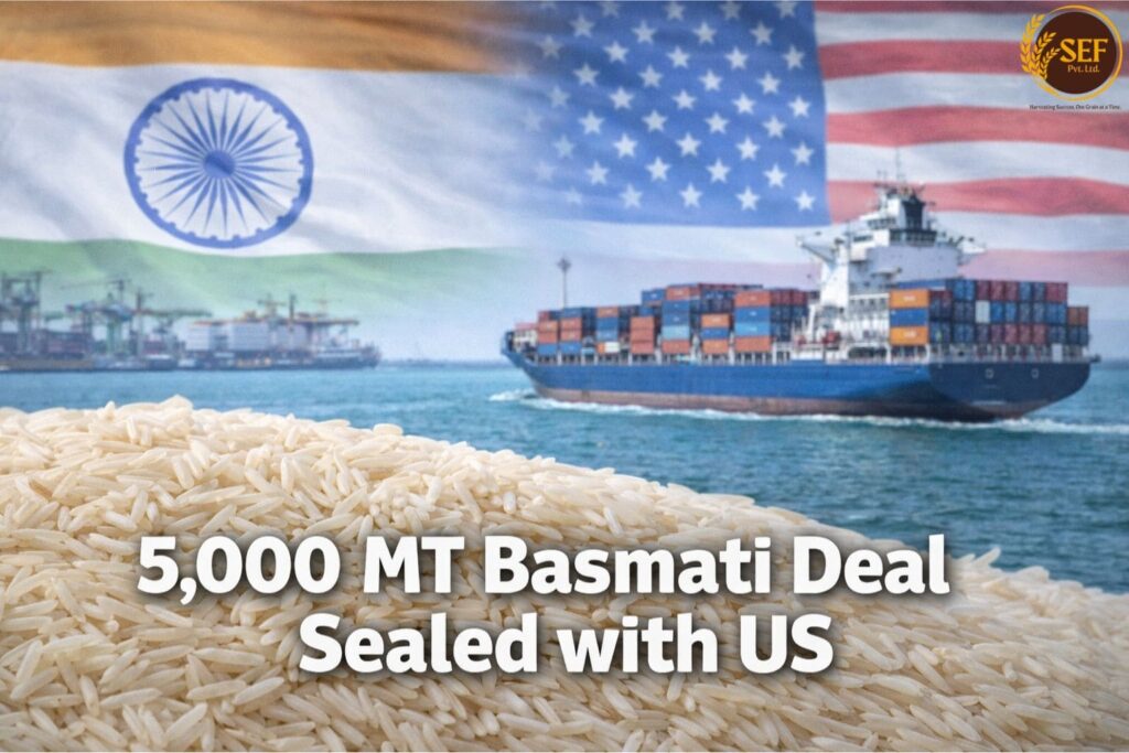 India signs 5,000 tonne basmati rice export deal with United States.