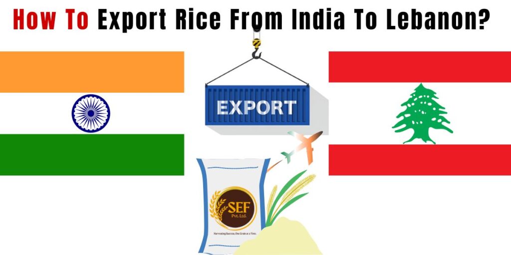 Indian Basmati rice prepared for export to Lebanon