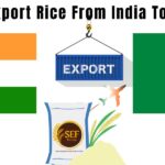Export rice from India to Algeria showing rice bowl with flags and shipping concept.