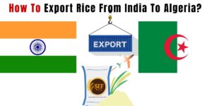 Export rice from India to Algeria showing rice bowl with flags and shipping concept.