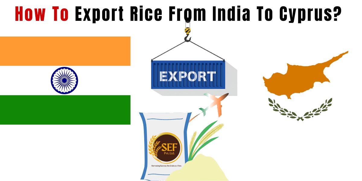 Export rice from India to Cyprus with basmati rice bowl and India Cyprus flags.