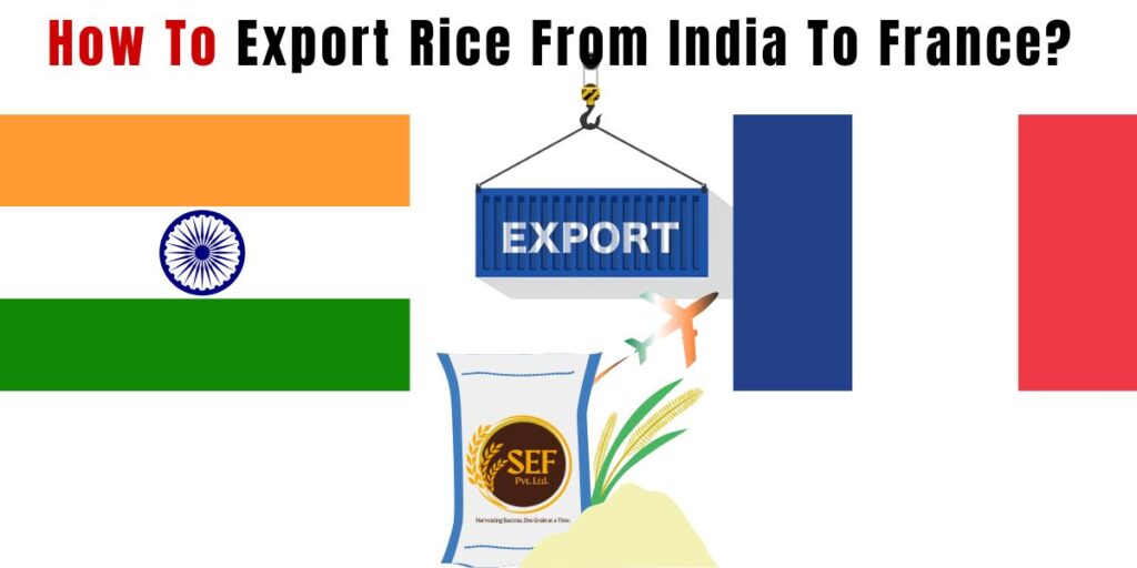 Export rice from India to France showing basmati rice bowl with India and France flags and global shipping concept.