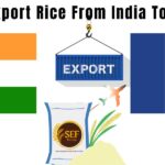 Export rice from India to France showing basmati rice bowl with India and France flags and global shipping concept.
