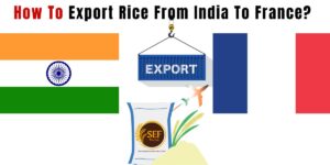 Export rice from India to France showing basmati rice bowl with India and France flags and global shipping concept.