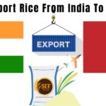 Export rice from India to Morocco showing rice bowl with flags and shipping concept.